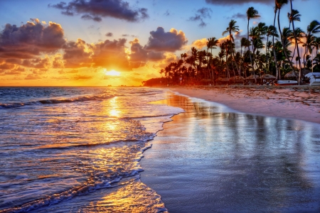 Sunset - nature, beach, ocean, palms, sunset