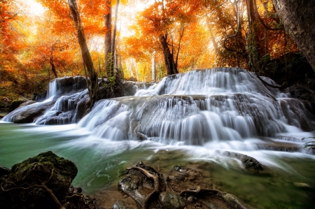 Waterfall - Tress, Autumn, Nature, Waterfall