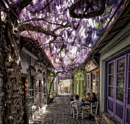 Beautiful pathway - beautiful, purple, pathway, trees