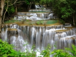 Multi Tier Forest Waterfall