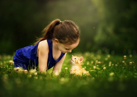 Cuteness - kitten, look, girl, cute, grass, lovely