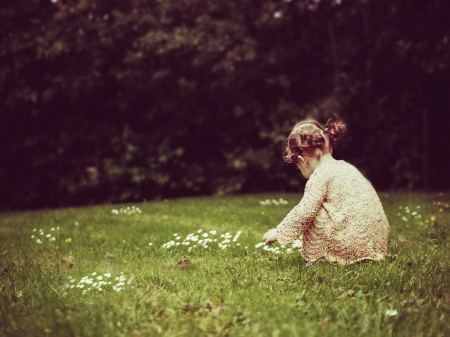 Picking Flowers - child, flowers, girl, grass