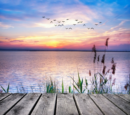 NATURE - SUNSET, BIRDS, CLOUDS, SKY, OCEAN