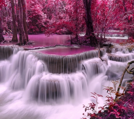 WATERFALL - WATERFALL, FOREST, NATURE, TREES