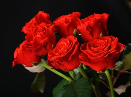 Rose Bouquet - leaves, blossoms, petals, red