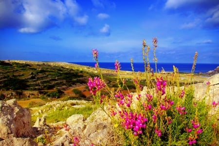 Refreshing nature - sky, lake, landscape, rocks, nature, beautiful, sea, wildflowers, refresh