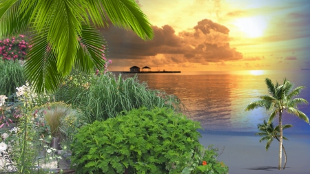 ~*~ Summer Sunset ~*~ - ocean, coconut trees, hd wallpaper, summer, flowers, sunset