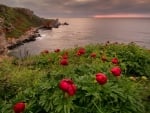 Sunset, sea, and flowers