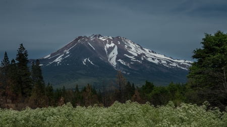 At her feet - beauty, california, trees, cascade range, landscape, mountain, pentax, mount shasta, forest, snow, scenery