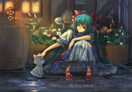 Anime girl and cat - rain, cat, anime, girl, night, manga, lantern, light, teddy yang