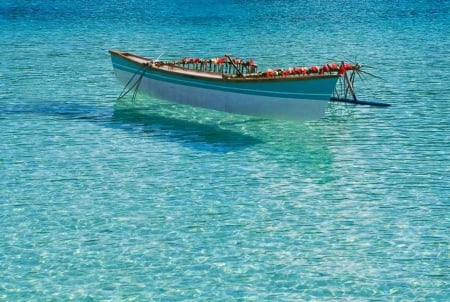 Near the Beach of Bora Bora - sea, blossoms, water, boat