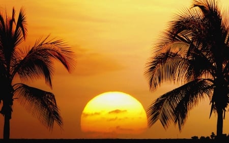 Beach Old Hawaii Kailua Kona - sky, palms, sunset, sea, sun