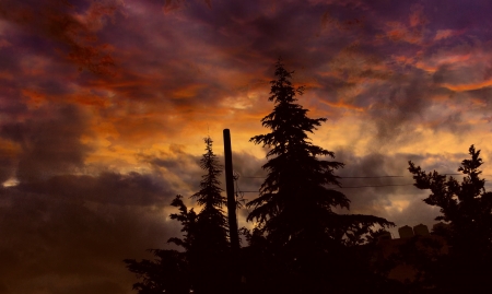 Wonderful Clouds - nature, tree, clouds, beautiful