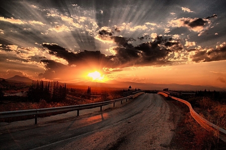 Wonderful Nature - tree, sunset, cloud, road