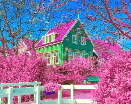 House in Pink - attractions in dreams, love four seasons, houses, pink, colorful, architecture, creative pre-made