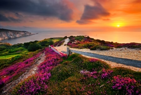 Fiery sunset - clouds, water, summer, coast, beach, beautiful, slope, sea, orange, wildflowers, glow, shore, sunset, fiery, lake, sky