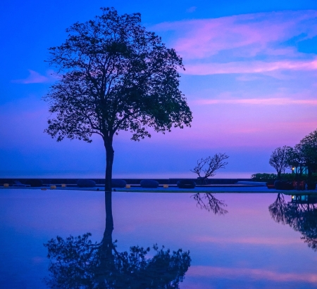 Beautiful night - nature, evening, beautiful, blue, night, tree, sea