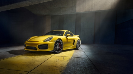 2015 Porsche Cayman GT4 - 06, 2015, car, picture, cayman gt4, porsche, 25