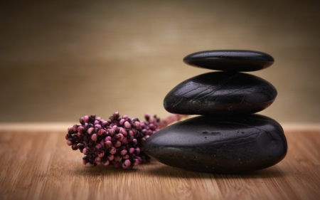 Spa - flowers, relax, spa stones, stones