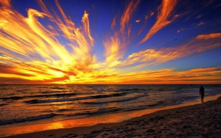 Spectacular Sunset on a Beach - beach, nature, water, sunset