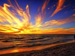 Spectacular Sunset on a Beach