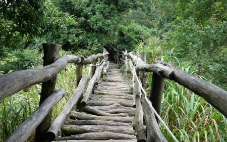 Rustic Handmade Bridge - logs, trees, nature, bridge