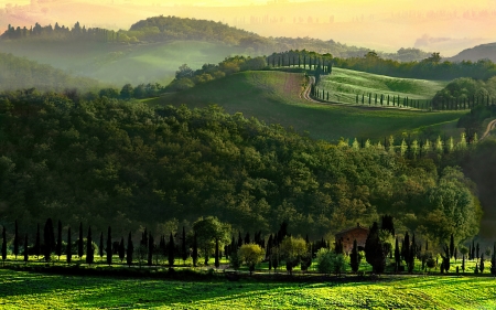 Splendor Nature - trees, green, amazing, fields