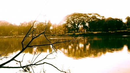 A pond - nature, guwahati, sunset, pond