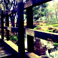 A wooden overbridge