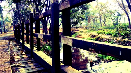 A wooden overbridge - greenery, morning, bridges, photography