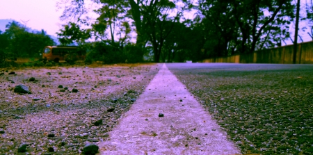 On a lonely road - alone, road, woods, journey