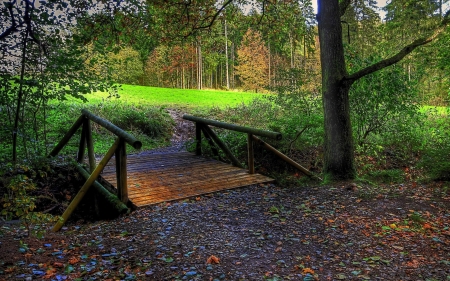 forest bridge - tree, bridge, forest, grass