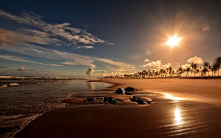 Nature - sea, sunset, nature, beach