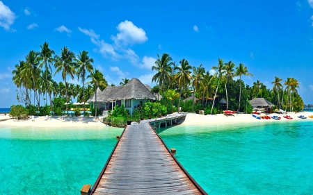 Beach - tropical, palm, beach, umbrellas, palm trees, trees, sea, nature, mountain