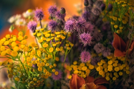 Awesome flowers - flowers, purple, amazing, colors