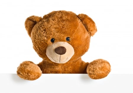 Hello! - brown, children, toy, birthday, white, valentine, teddy bear, cute, card, day