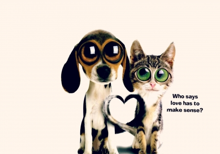 Who says love has to make sense? - heart, dog, green eyes, cat, white, animal, funny, valentine, card