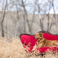 Relaxing in nature