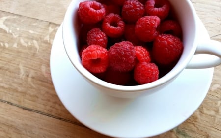 Still Life - plate, still life, cup, raspberries