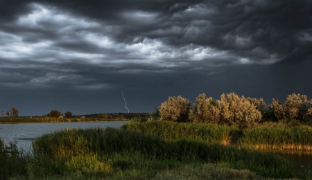 Storm light - tree, cloud, storm, river