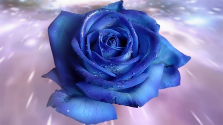 ~*~ Blue Rose ~*~