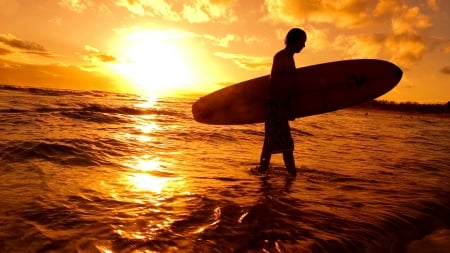 Surfer's Sunset Beach - season, sky, sunshine, beach, sun, water, coast, vacation, surfing, evening, man, holiday, skyphoenixx1, ocean, sunlight, tropical, shore, waves, nature, surfer, surfboard, sunrise, sea, guy