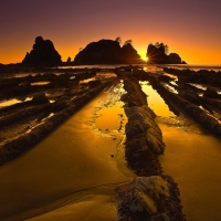 Olympic National Park,Washington