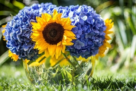 Beauty of Sunflowers - flowers, vase, sunflowers, nature, macro