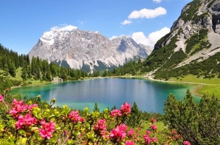 Mountain lake - calm, summer, beautiful, tranquil, landscape, reflection, mountain, wildflowers, nature, clear, peak, cliffs, serenity, lake, rocks