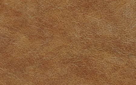 Leather texture - skin, brown, leather, texture