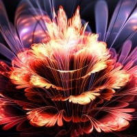 Flowering Fractal