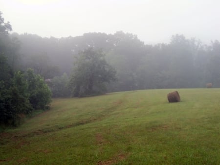 Foggy Morning In A Hayfield