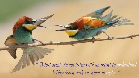 Intent - Quotes, Animals, Words, Thoughts, Birds