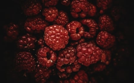 Raspberries - food, fruits, red, raspberries